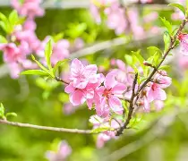 包含{膇I?兓YoVy|剈E橠樈甘=5?*o渌TB^<鬖bB]K?Tz章剫袃|珘的词条